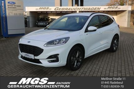 Ford Kuga Gebrauchtwagen