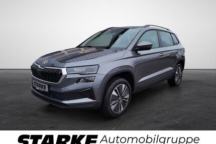 Skoda Karoq Gebrauchtwagen