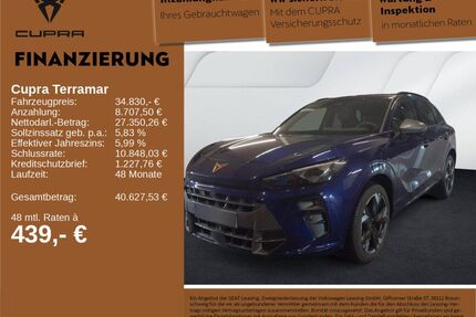 Cupra Terramar Gebrauchtwagen