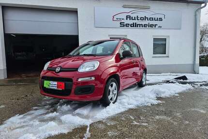 Fiat Panda Gebrauchtwagen