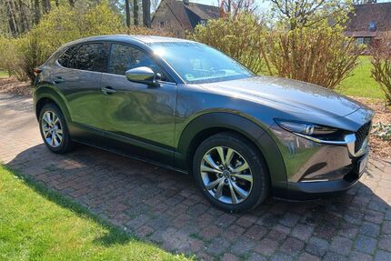 Mazda CX-30 Gebrauchtwagen