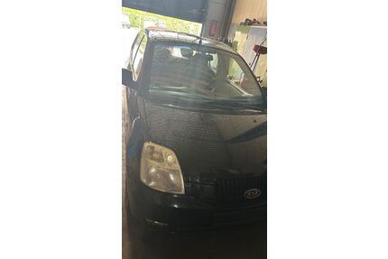 Kia Picanto Gebrauchtwagen