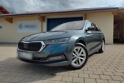 Skoda Octavia Gebrauchtwagen