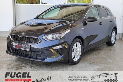 Kia ceed / Ceed Gebrauchtwagen