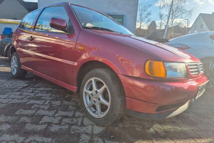 VW Polo Gebrauchtwagen