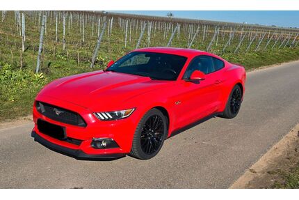 Ford Mustang Gebrauchtwagen