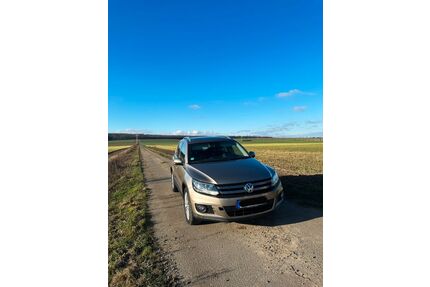 VW Tiguan Gebrauchtwagen