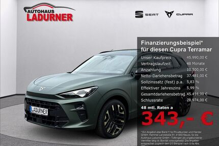 Cupra Terramar Gebrauchtwagen