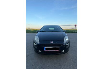 Fiat Punto Gebrauchtwagen