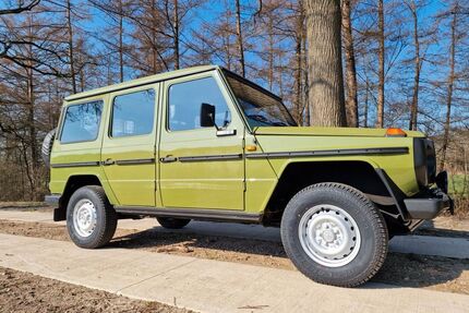Mercedes-Benz G 230 Gebrauchtwagen