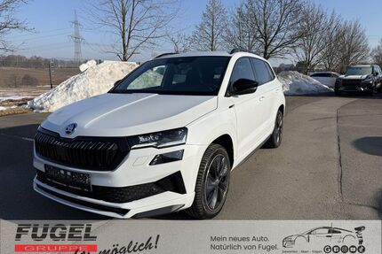 Skoda Karoq Gebrauchtwagen