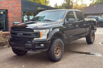 Ford F 150 Gebrauchtwagen