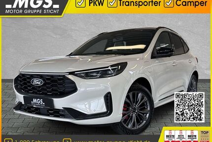 Ford Kuga Gebrauchtwagen