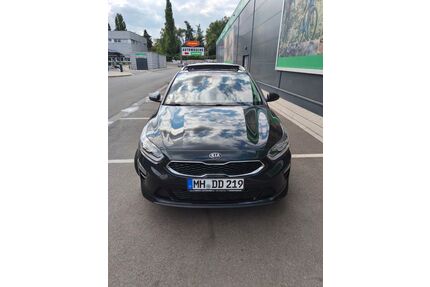 Kia ceed / Ceed Gebrauchtwagen