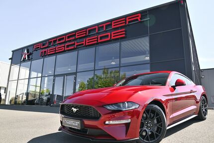 Ford Mustang Gebrauchtwagen