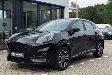 Ford Puma Gebrauchtwagen