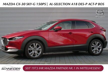 Mazda CX-30 Gebrauchtwagen