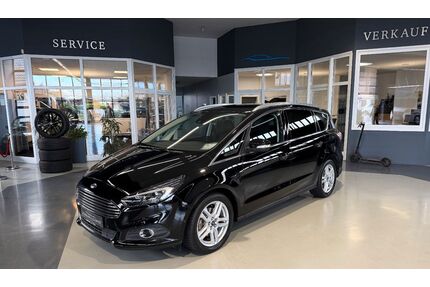 Ford S-Max Gebrauchtwagen