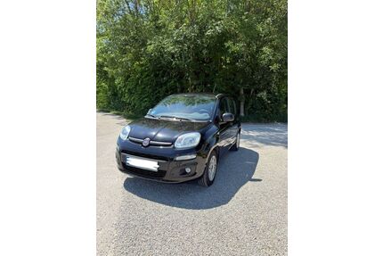 Fiat Panda Gebrauchtwagen