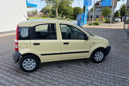 Fiat Panda Gebrauchtwagen
