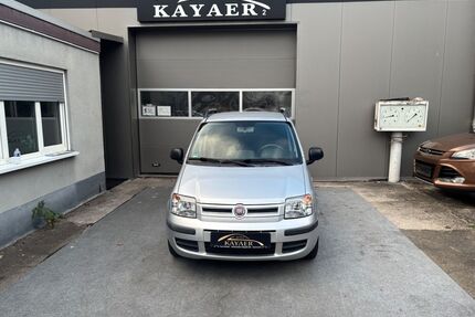 Fiat Panda Gebrauchtwagen