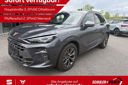 Cupra Terramar Gebrauchtwagen