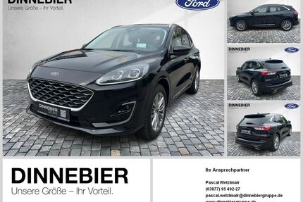 Ford Kuga Gebrauchtwagen