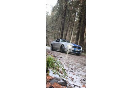 Ford Mustang Gebrauchtwagen