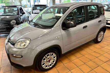 Fiat Panda Gebrauchtwagen