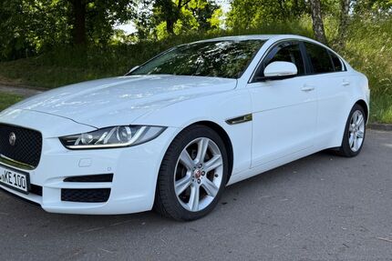 Jaguar XE Gebrauchtwagen