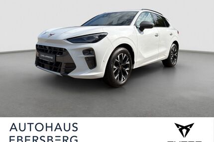 Cupra Terramar Gebrauchtwagen