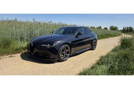 Alfa Romeo Giulia Gebrauchtwagen