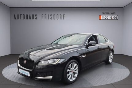 Jaguar XF Gebrauchtwagen
