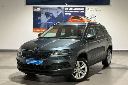 Skoda Karoq Gebrauchtwagen