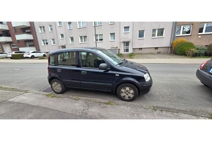 Fiat Panda Gebrauchtwagen