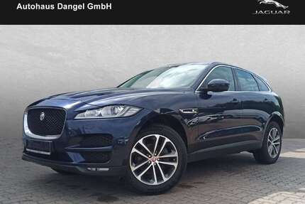 Jaguar F-Pace Gebrauchtwagen