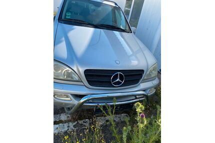 Mercedes-Benz ML 270 Gebrauchtwagen