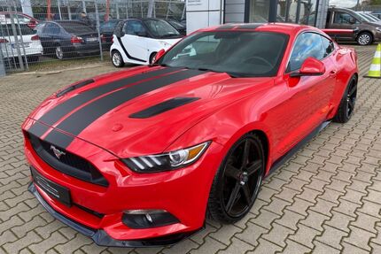 Ford Mustang Gebrauchtwagen