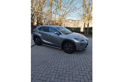 Lexus Andere Gebrauchtwagen