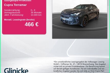 Cupra Terramar Gebrauchtwagen