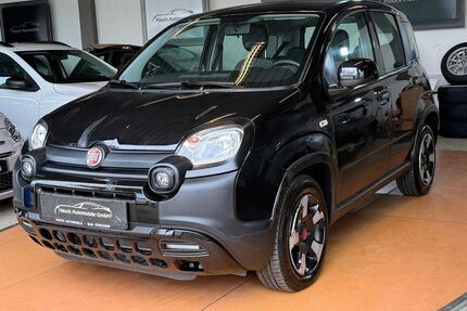 Fiat Panda Gebrauchtwagen