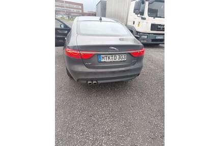 Jaguar XF Gebrauchtwagen
