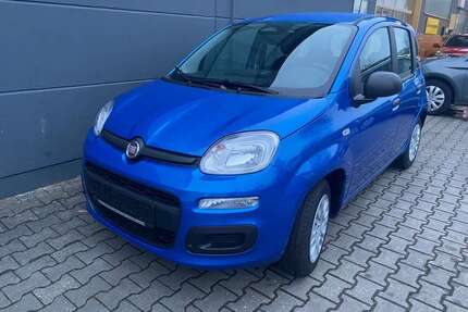 Fiat Panda Gebrauchtwagen