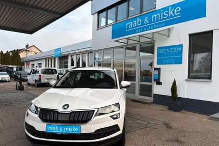 Skoda Karoq Gebrauchtwagen
