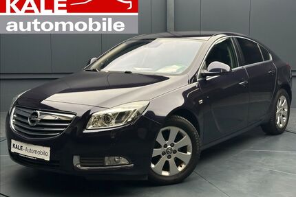 Opel Insignia Gebrauchtwagen