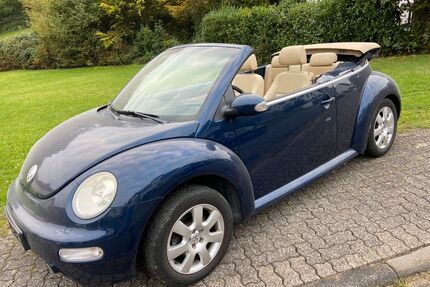 VW Beetle Gebrauchtwagen