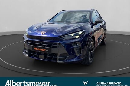 Cupra Terramar Gebrauchtwagen