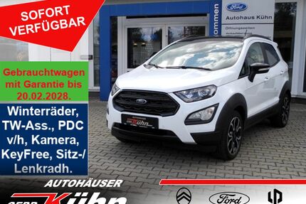Ford EcoSport Gebrauchtwagen