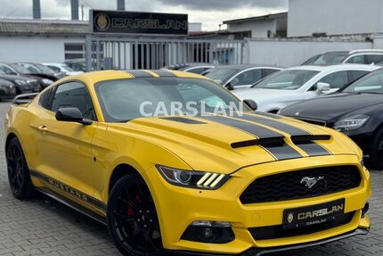 Ford Mustang Gebrauchtwagen