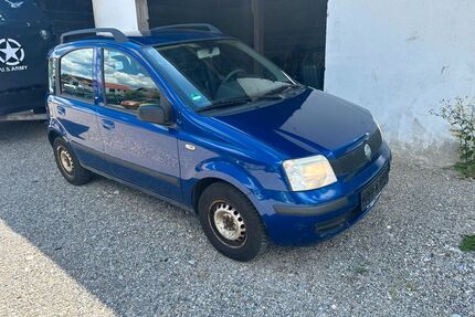 Fiat Panda Gebrauchtwagen